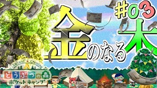 【ポケ森】大儲け！金のなる木を探せ！- どうぶつの森 ポケットキャンプ 実況 ＃3-