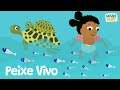 PEIXE VIVO Videoclipe Musical Vamos Cantar E Dançar Sing And Dance Maboefifi