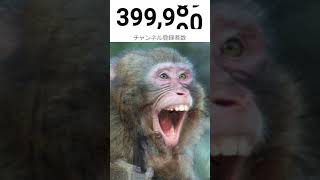 リスナーに弄ばれつつ40万人を突破する西園チグサ【切り抜き/にじさんじ】
