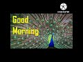 Good Morning Kaalai Nera Poonkuyil Vijayakanth Amman Koil Kilakkale