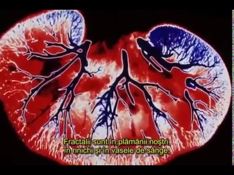 FRACTALI: NATURĂ, ARTĂ, ȘTIINȚĂ