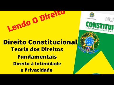 28 Direito Constitucional - Teoria dos Direitos Fundamentais - Direito à intimidade e privacidade
