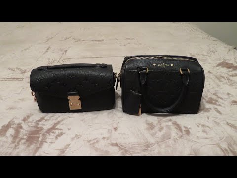 Switching Bags : Louis Vuitton Speedy 20 to Pochette Metis East West