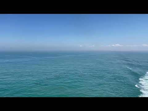 Ferry Crossing - England 🏴󠁧󠁢󠁥󠁮󠁧󠁿  to France 🇫🇷