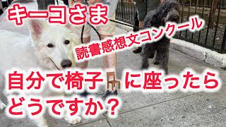 キーコさま　自分で椅子に座ったらどうですか？それってパワハラですよ