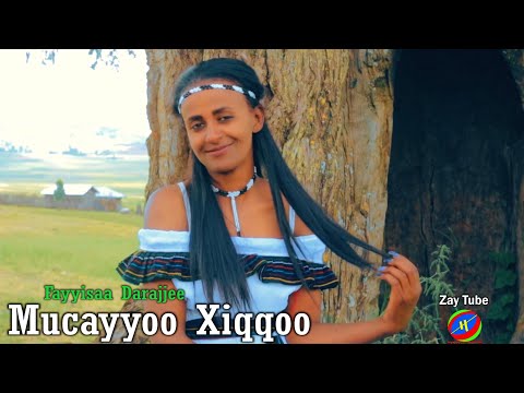 Fayyisaa Darajjee - New Ethiopian Oromo Music - Mucayyoo Xiqqoo - new 2022 official video