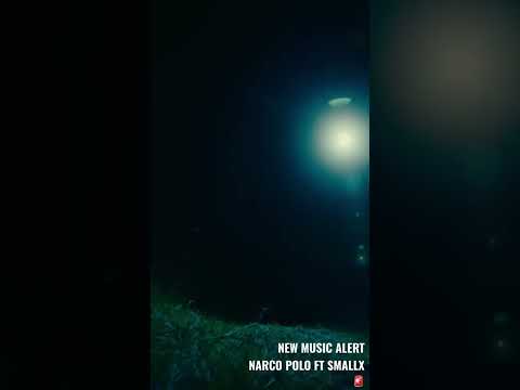 NEW MUSIC 🚨NARCO POLO FT SMALLX , WEDDI, 07-07