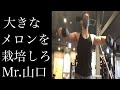 大きなメロンを栽培しろ! サイドレイズ Mr.山口への道