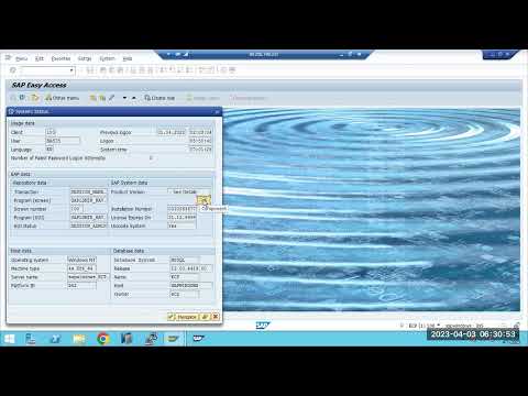 SAP BASIS - SAP SP Upgrade / Patching Introduction(SPAM&SAINT)