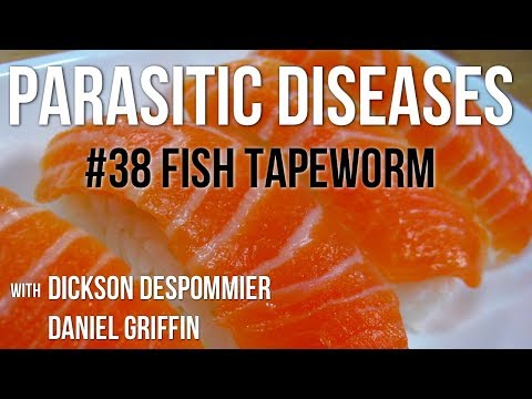 Parasites Without Borders, Parasitic Diseases Lectures #38: Fish Tapeworm