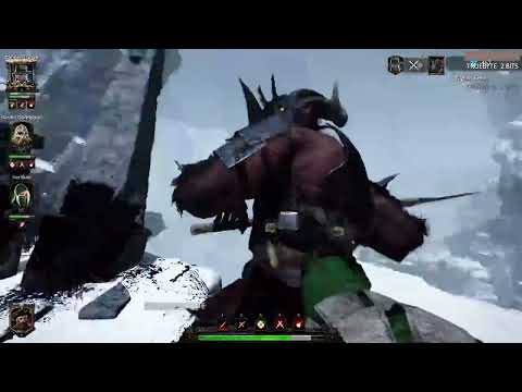 Mercenary in the Chaos Wastes - Warhammer: Vermintide 2 (Chaos Wastes)