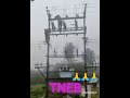 TNEB