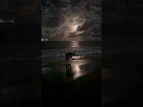 Madagascar darafify beach during full moon🌕 ! Baby with daddy!