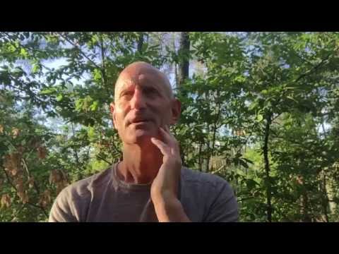 Michael Gallasch 191 : Rêve éveillé vers sa réalisation