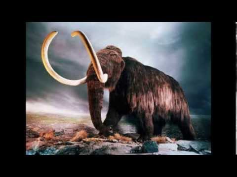 I Found a Summertime Mammoth-Lana Del Rey, Dimitri Vegas&Like Mike,Axwell (Delory Mashup)