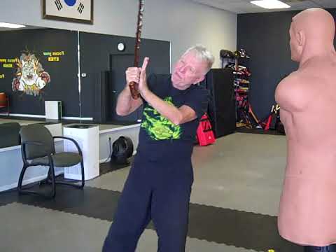 Wing/Roof/Umbrella Shillelagh Drills for Student Level 4 rank progression.