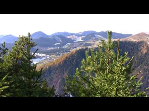 Traseu in Rezervatia Cheile Sugaului- Varful Criminisu