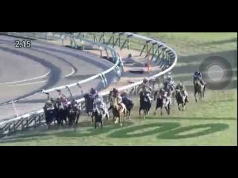 🇯🇵 THE ARIMA KINEN (THE GRAND PRIX)(G1) Winner Equinox (JPN) 🏆