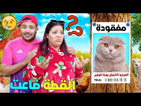 للأسف..القطة الجديدة مفقودة😿بحثنا في كامل المزرعة😱ولكن ‼️