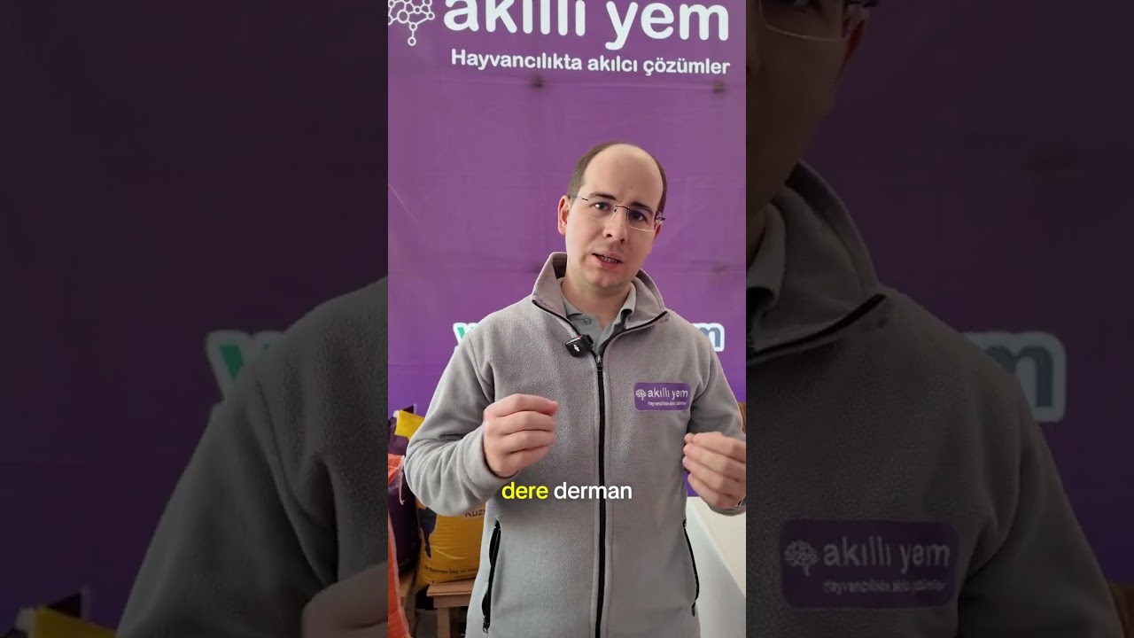 Furkan Dilber