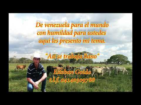 Así se trabaja llano