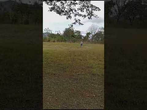 e#casa con #amplio #terreno en #ola #cocle #panama ven y visitarla ya. #lotescampestres #campestre