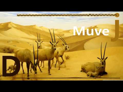 Roadie Rose ft. Nipsey Hussle - History by DMuvej