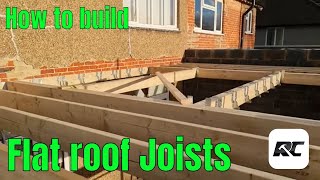 Making a simple flat roof structure with trimmers for a lantern or roof light