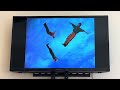 Sesame Street Floating Kids Triangle