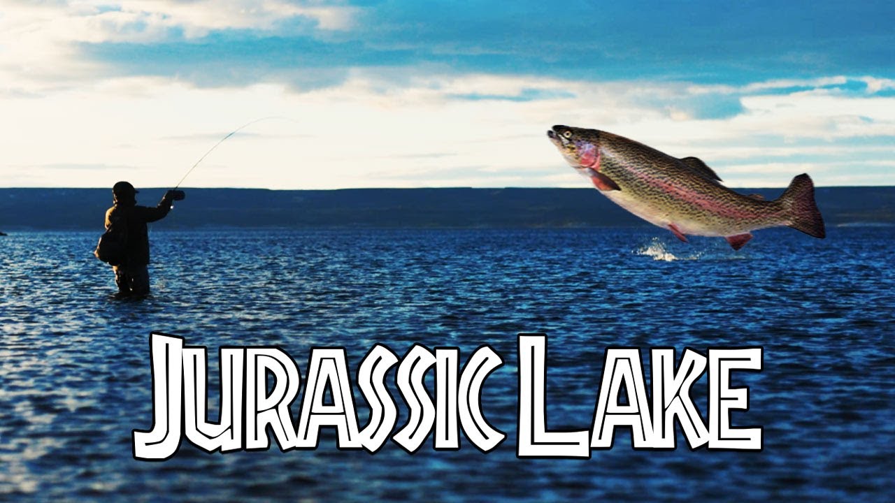 VIDEO TITLE