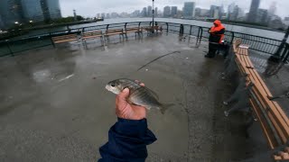 NYC L.I.C PIER FISHING 9/07/2025