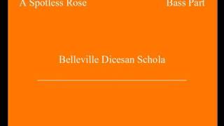 A Spotless Rose Bass Part