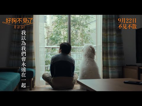 預告圖片
