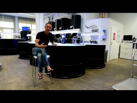 Modern Koi Blog #2638 - This and that about silkworms