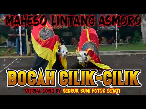 BOCAH CILIK CILIK GEDRUK BUMI POTOK SEJATI versi MAHESO LINTANG ASMORO Lumajang