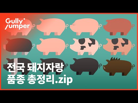 , title : '실례지만 어데 돼씨입니까? | 육식백과 | EP.5 돼지 품종 🐖'