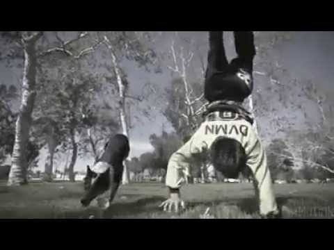 Amazing in dog style