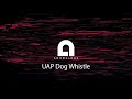 We Ve Recreated The UAP Dog Whistle You Can Try It At Home