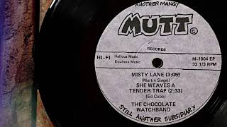 The Chocolate Watchband - Misty Lane  ...1967