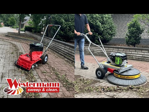 WKB430 EGO Weed Ripper - Image 2