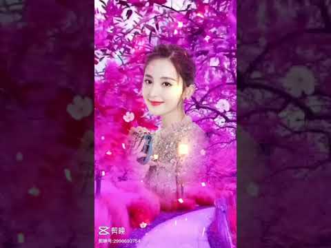 bài hát Ánh Trăng Xưa