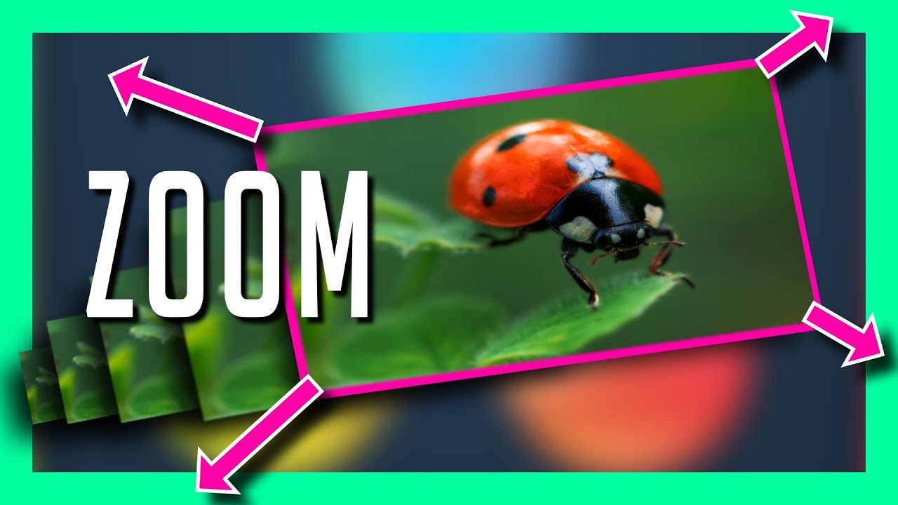 All the Ways to ZOOM in DaVinci Resolve - Tutorial for Beginners