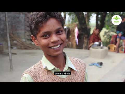 Garlic extract powder, packaging type: loose