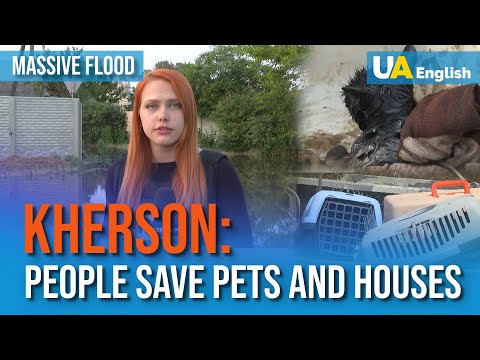 Kherson Residents Try to Save Pets and Houses. Report from the Disaster Zone