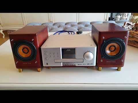 JVC EX-A1 WOOD CONE SPEAKERS