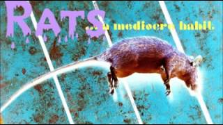 卍...a mediocre habit Rats (Syd Barret)
