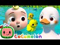 Five Little Ducks - Option 2 | CoComelon Furry Friends | Animals for Kids
