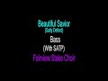 BeautifulSavior Bass Guide With SATP