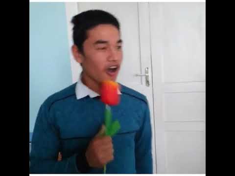 real xit yangi soni uchqurg'onda