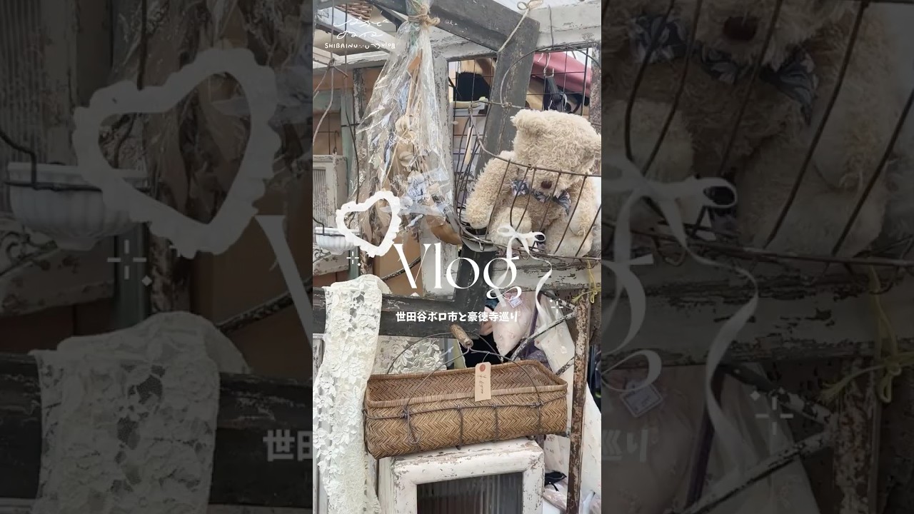 世田谷ボロ市と豪徳寺巡りをした1日VLOG🇯🇵🤍ྀི#平成レトロ #豪徳寺 #世田谷ボロ市 #購入品紹介 #japan